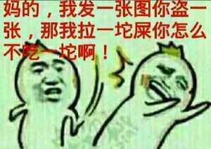 妈的，我发一张图你盗一张，那我拉一坨屎你怎么不吃一坨啊(点击浏览下一张趣图)