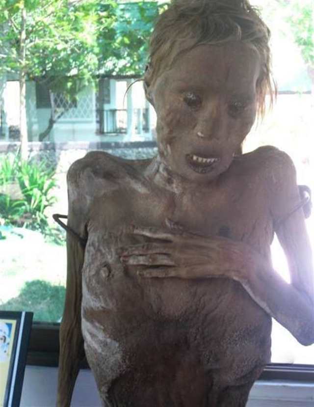 造访泰国真人人体干尸博物馆(点击浏览下一张趣图)
