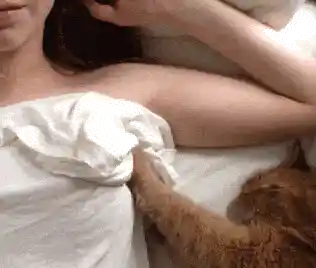 躺着的美女过着浴巾被猫咪按摩胸部动态图(点击浏览下一张趣图)