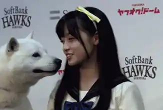 日本美女被狗狗舔的脸红耳赤动态图(点击浏览下一张趣图)