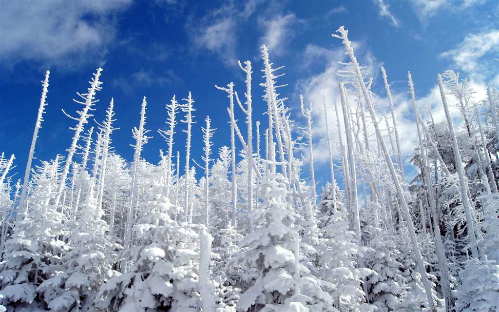 雪景千里冰封自然绝美壁纸(点击浏览下一张趣图)