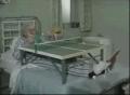 外国佬病床上自己手和脚玩乒乓球  