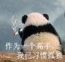 作为一个高手我已经习惯孤独 熊猫搞笑gif图片