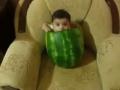 坐在西瓜的宝宝 外国宝宝搞笑图片