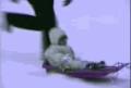 滑雪小孩差点掉下去 短片爆笑gifxiu截图