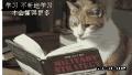 小猫翻书看书：学习只有 不断的学习才能懂得更多