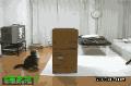 搞笑的小猫往纸箱里跳