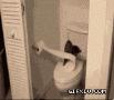 搞笑的小猫太无聊了把厕所的纸都给弄完了