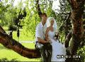 尼玛结婚在树上接吻不掉下去才怪