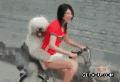 好幸福的狗狗啊美女主人骑自行车带着兜风去