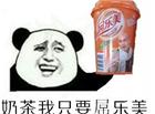 金馆长熊猫：奶茶我只喝屌乐美