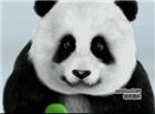 一只可爱的3d动画熊猫，好萌~~