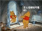 照镜子的卡通小熊动态图片