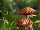 3d卡通森林蘑菇梦幻图片