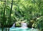 竹林山水风景图片