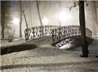 冬天公园小桥树木风景图片