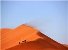 沙漠探险图片