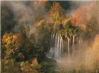 秋天树林瀑布风景图片