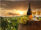 法国葡萄酒庄园图片