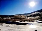 蓝天阳光树木雪地风景图片