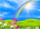 高清彩虹鲜花图片