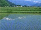 田园风光图片