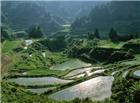 田园风景图片