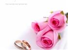 婚戒与粉色玫瑰花图片
