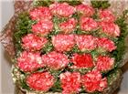 妇女节康乃馨花束图片