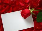 情人节玫瑰卡片图片