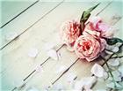 木板上的玫瑰花图片