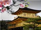 日本樱花与日式建筑图片