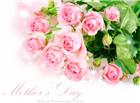 母亲节玫瑰花图片