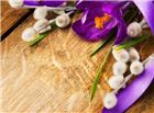 紫色花朵木质板高清大图图片