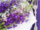 盘子上紫色花朵图片