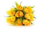 黄玫瑰花高清大图图片