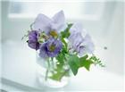 紫色花束插花