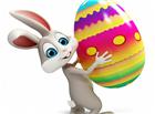 可爱兔子抱彩蛋图片