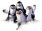 四只可爱的企鹅图片