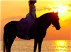 黄昏海边骑马的美女图片