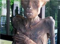 胆小勿进 泰国真人人体干尸博物馆