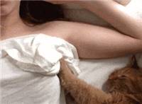 躺着的美女过着浴巾被猫咪按摩胸部动态图