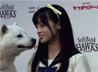 日本美女被狗狗舔的脸红耳赤动态图