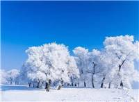 雪白的哈尔滨被私藏的绝美雪景!