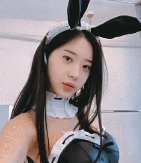 又是韩国女主播的兔女郎 五一都是人从众的动态图 